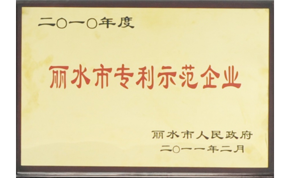 麗水市專利示範企業