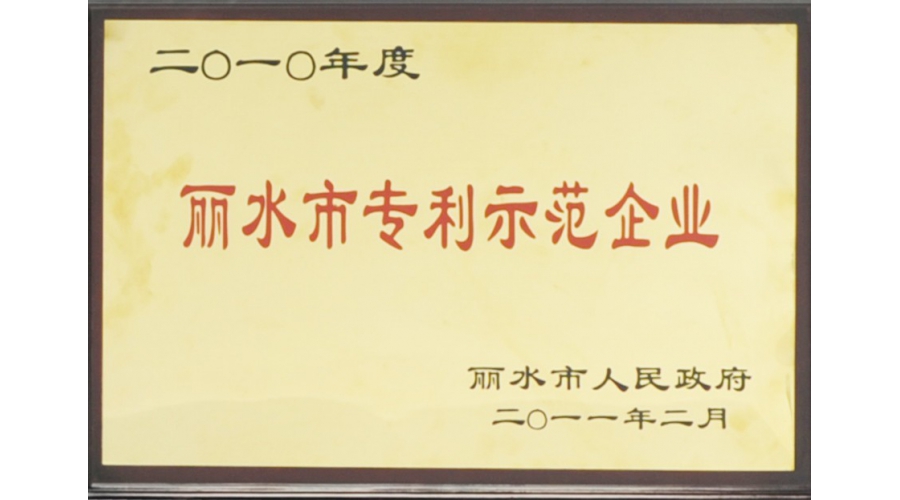 麗水市專利示範企業