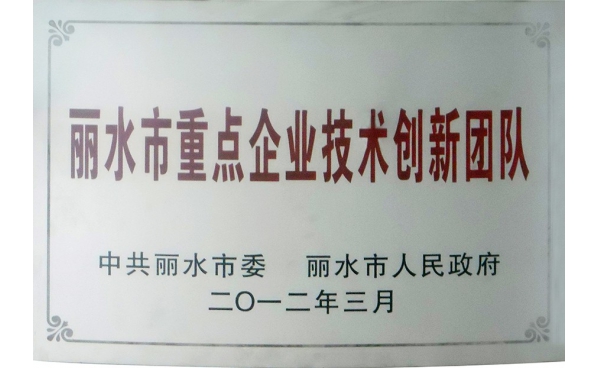 麗水市重點企業技術創新團隊