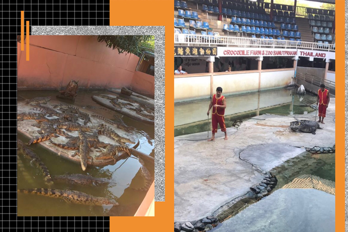 高端拉床,專用機床,内拉床,外拉床,數控機床,自動化生産線,工業機器人 高端拉床,專用機床,内拉床,外拉床,數控機床,自動化生産線,工業機器人