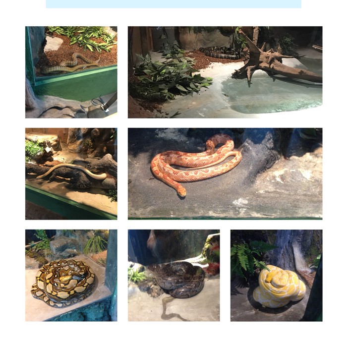 高端拉床,專用機床,内拉床,外拉床,數控機床,自動化生産線,工業機器人 高端拉床,專用機床,内拉床,外拉床,數控機床,自動化生産線,工業機器人