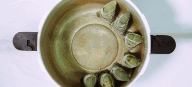 1536811172222417.gif 浙江暢爾智能(néng)裝備股份有限公司