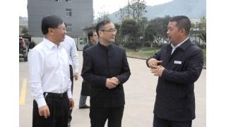 浙江省委統戰部部長(cháng)馮志禮調研暢爾