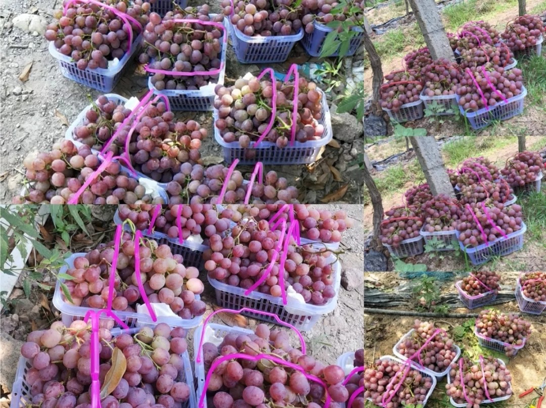 高端拉床,專用機床,内拉床,外拉床,數控機床,自動化生産線,工業機器人,拉床,拉刀,自動化 高端拉床,專用機床,内拉床,外拉床,數控機床,自動化生産線,工業機器人,拉床,拉刀,自動化