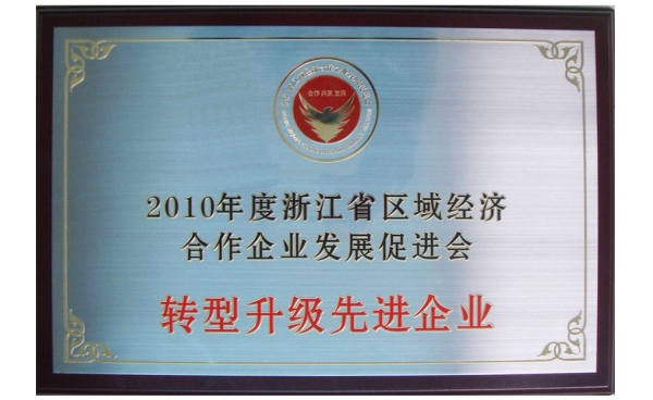 浙江省轉型升級先進(jìn)企業獎牌