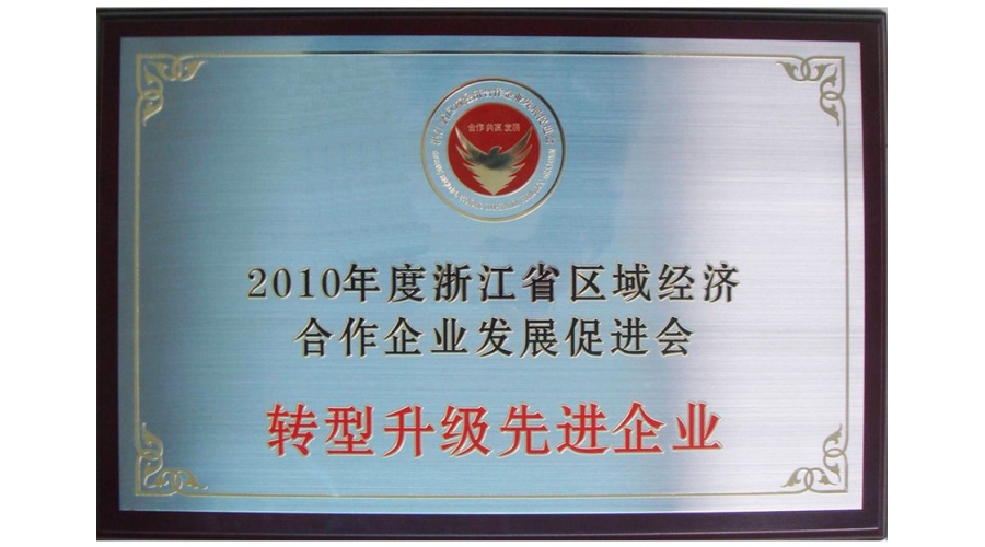 浙江省轉型升級先進(jìn)企業獎牌