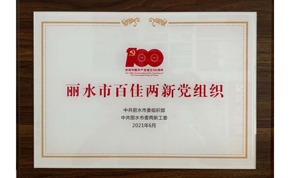 麗水市百佳兩(liǎng)新黨組織