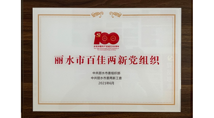 麗水市百佳兩(liǎng)新黨組織