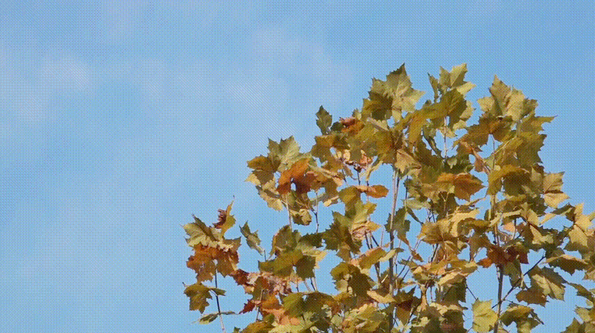 拉床,拉刀,自動化,高端拉床,專用機床,内拉床,外拉床,數控機床,自動化生産線,工業機器人 拉床,拉刀,自動化,高端拉床,專用機床,内拉床,外拉床,數控機床,自動化生産線,工業機器人